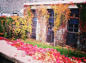 Jen Mangaro's photo entitled Fall Comes to Eastern State