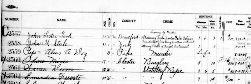 Bertillon log with details on Pep's "intake"