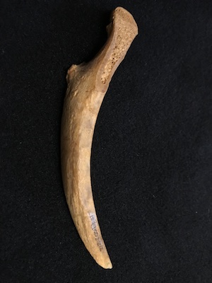 Bone shiv, donated to Eastern State by the Scheerer Family